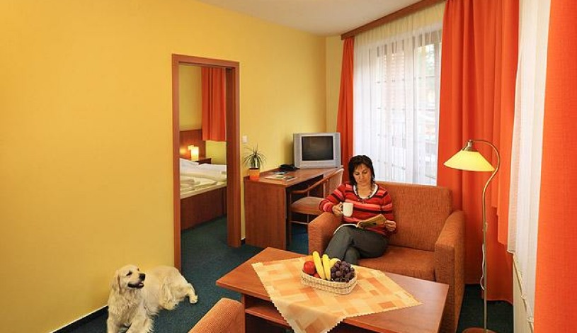 Hotel Záviš z Falkenštejna Hluboká nad Vltavou